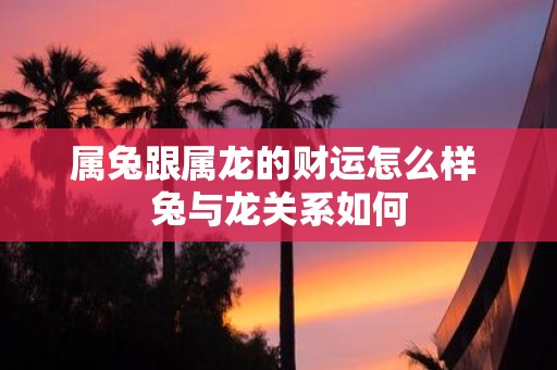 属兔跟属龙的财运怎么样 兔与龙关系如何