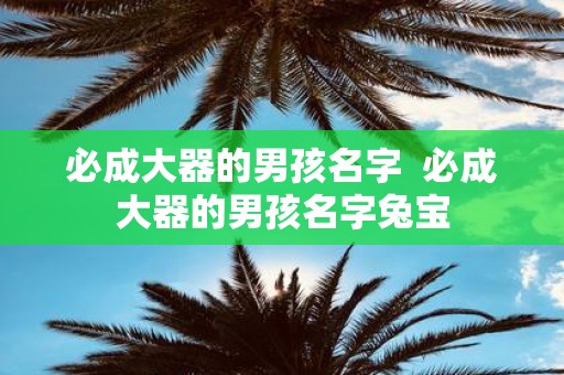 必成大器的男孩名字 必成大器的男孩名字兔宝
