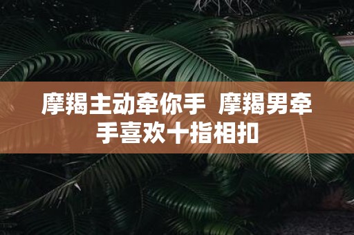摩羯主动牵你手 摩羯男牵手喜欢十指相扣