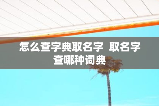 怎么查字典取名字 取名字查哪种词典