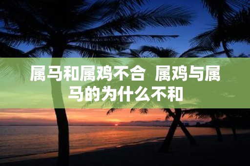 属马和属鸡不合 属鸡与属马的为什么不和
