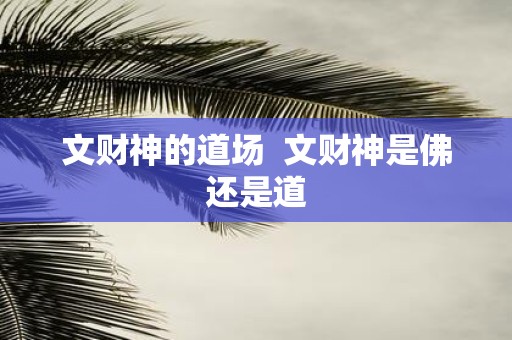 文财神的道场 文财神是佛还是道
