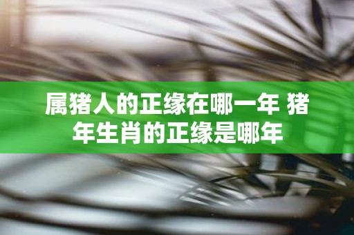 属猪人的正缘在哪一年 猪年生肖的正缘是哪年
