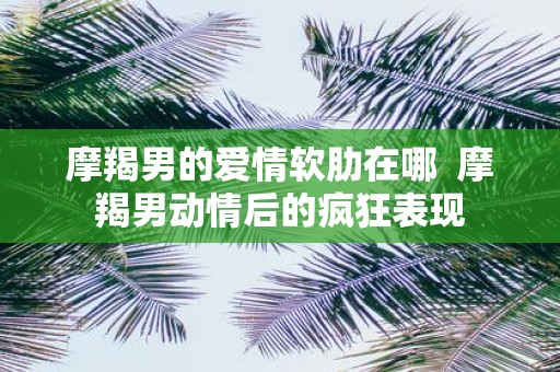 摩羯男的爱情软肋在哪 摩羯男动情后的疯狂表现