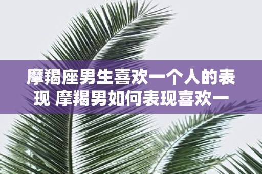 摩羯座男生喜欢一个人的表现 摩羯男如何表现喜欢一个人