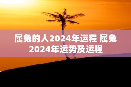 属兔的人2025年运程 属兔2025年运势及运程