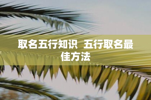 取名五行知识 五行取名最佳方法