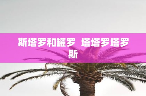 斯塔罗和罐罗 塔塔罗塔罗斯