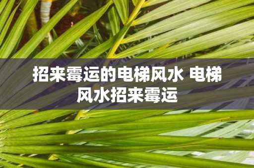 招来霉运的电梯风水 电梯风水招来霉运