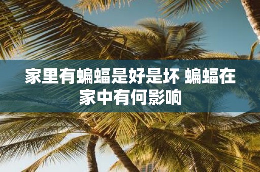 家里有蝙蝠是好是坏 蝙蝠在家中有何影响