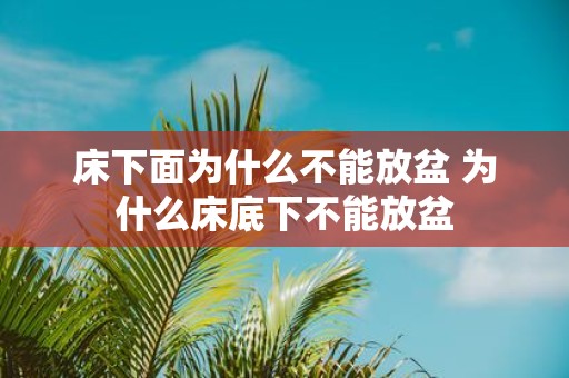 床下面为什么不能放盆 为什么床底下不能放盆
