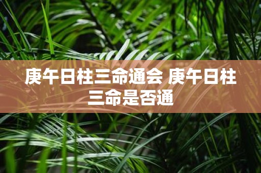 庚午日柱三命通会 庚午日柱三命是否通