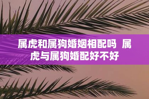 属虎和属狗婚姻相配吗 属虎与属狗婚配好不好