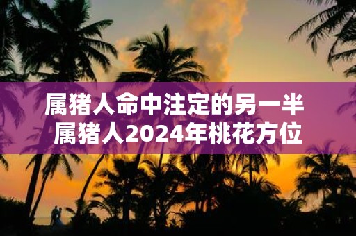 属猪人命中注定的另一半 属猪人2025年桃花方位