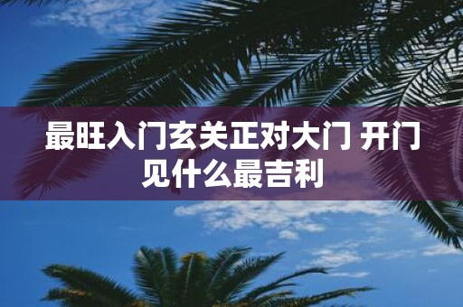 最旺入门玄关正对大门 开门见什么最吉利