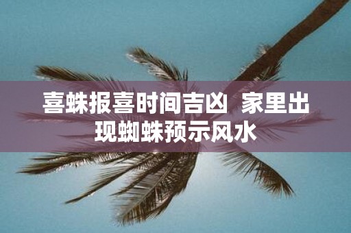 喜蛛报喜时间吉凶 家里出现蜘蛛预示风水