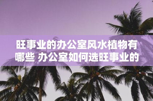 旺事业的办公室风水植物有哪些 办公室如何选旺事业的风水植物