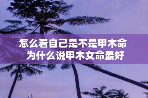 怎么看自己是不是甲木命 为什么说甲木女命最好