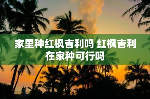 家里种红枫吉利吗 红枫吉利在家种可行吗