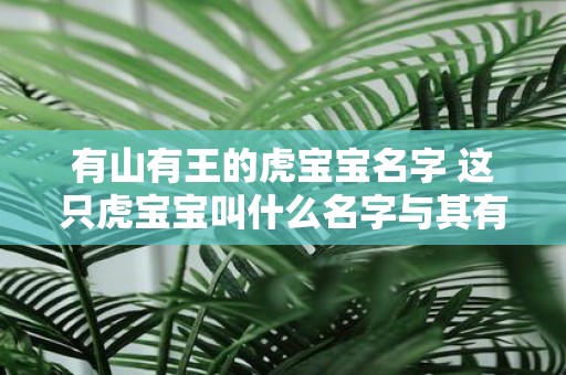 有山有王的虎宝宝名字 这只虎宝宝叫什么名字与其有山有王有关吗