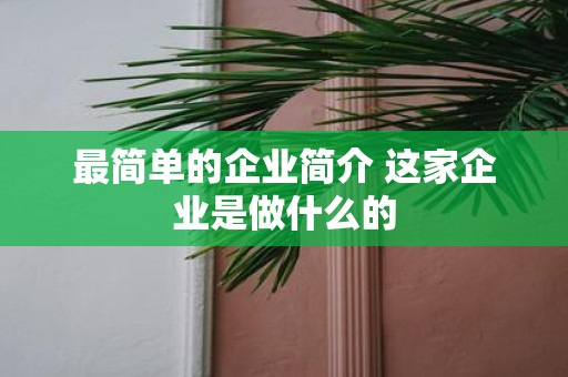 最简单的企业简介 这家企业是做什么的