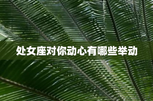 处女座对你动心有哪些举动