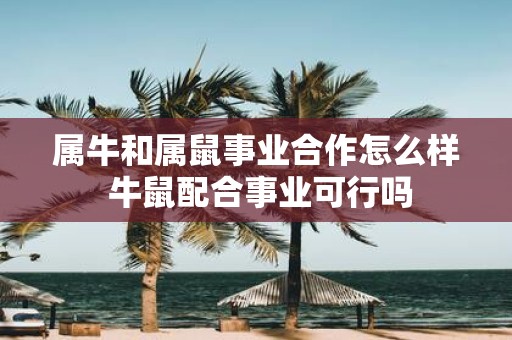 属牛和属鼠事业合作怎么样 牛鼠配合事业可行吗