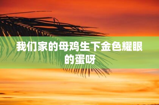 我们家的母鸡生下金色耀眼的蛋呀