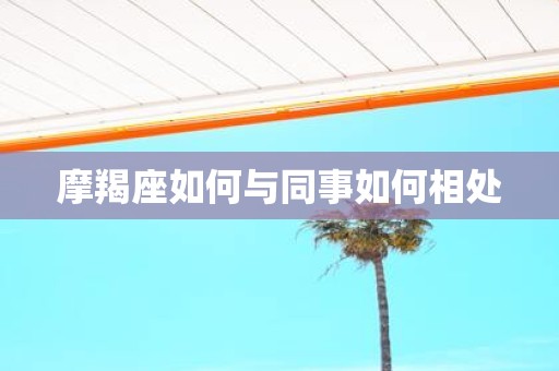 摩羯座如何与同事如何相处