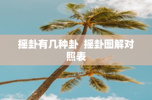 摇卦有几种卦 摇卦图解对照表