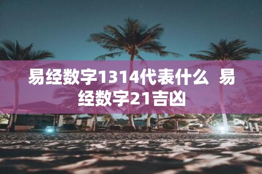 易经数字1314代表什么 易经数字21吉凶