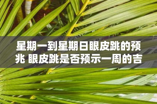 星期一到星期日眼皮跳的预兆 眼皮跳是否预示一周的吉凶