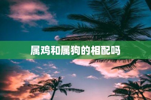 属鸡和属狗的相配吗