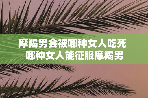 摩羯男会被哪种女人吃死 哪种女人能征服摩羯男