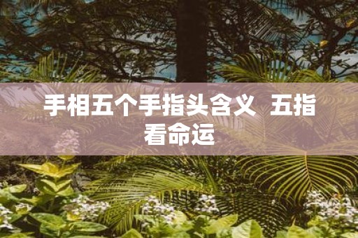 手相五个手指头含义 五指看命运