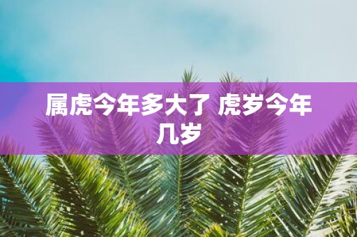 属虎今年多大了 虎岁今年几岁