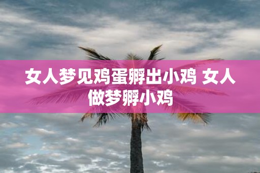 女人梦见鸡蛋孵出小鸡 女人做梦孵小鸡