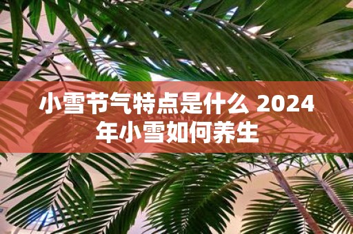 小雪节气特点是什么 2025年小雪如何养生
