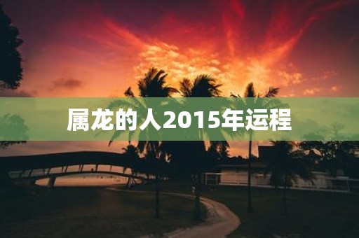 属龙的人2015年运程