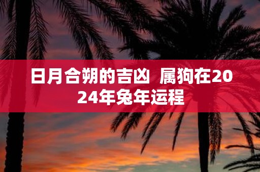 日月合朔的吉凶 属狗在2025年蛇年运程