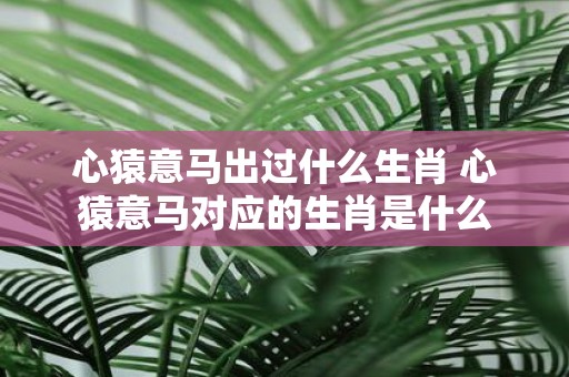心猿意马出过什么生肖 心猿意马对应的生肖是什么
