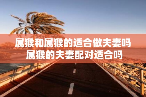 属猴和属猴的适合做夫妻吗 属猴的夫妻配对适合吗