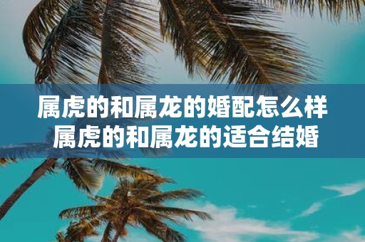 属虎的和属龙的婚配怎么样 属虎的和属龙的适合结婚吗
