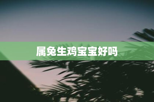 属兔生鸡宝宝好吗