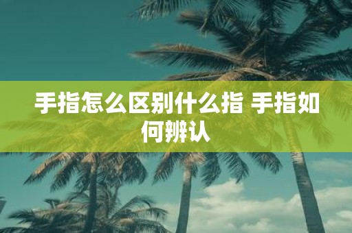 手指怎么区别什么指 手指如何辨认