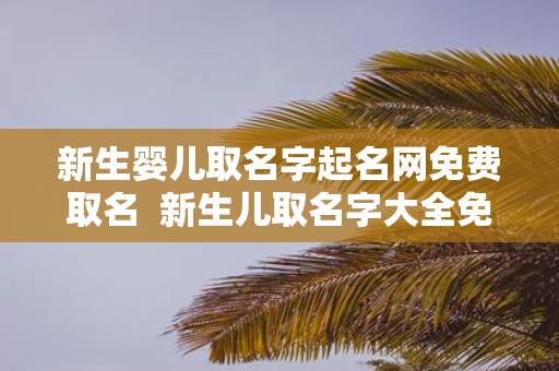 新生婴儿取名字起名网免费取名 新生儿取名字大全免费2025年