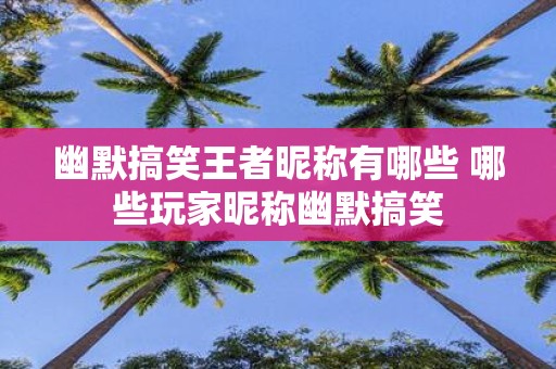 幽默搞笑王者昵称有哪些 哪些玩家昵称幽默搞笑