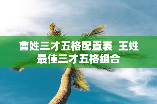 曹姓三才五格配置表 王姓最佳三才五格组合