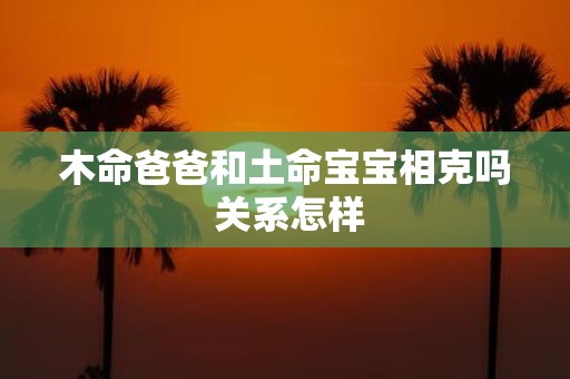 木命爸爸和土命宝宝相克吗 关系怎样