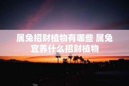 属兔招财植物有哪些 属兔宜养什么招财植物